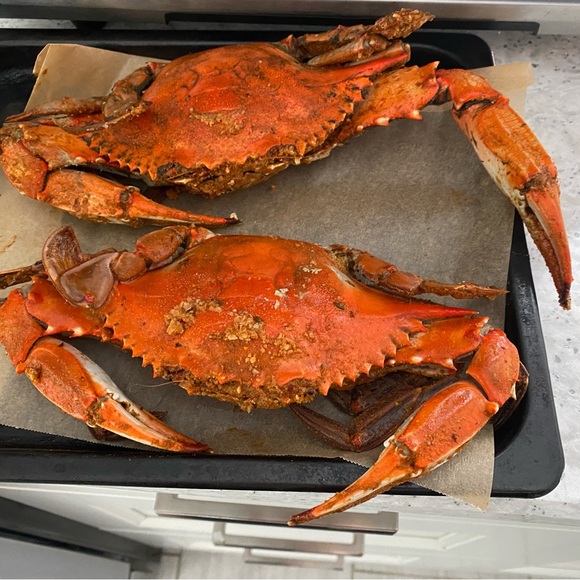 Meet your Posher, Al (Ambassador II) Scan the 3rd Picture - Picture 2 of 4